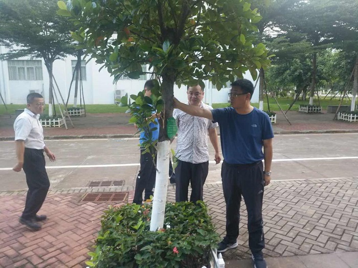 谈球吧体育客户端图片