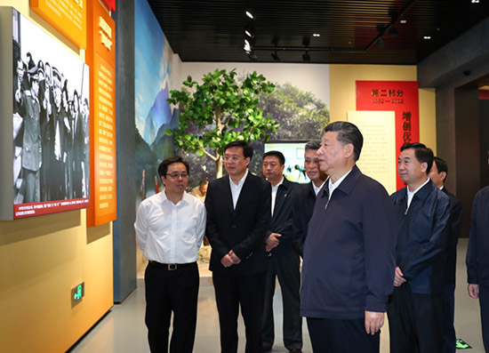 谈球吧体育加速节点图片