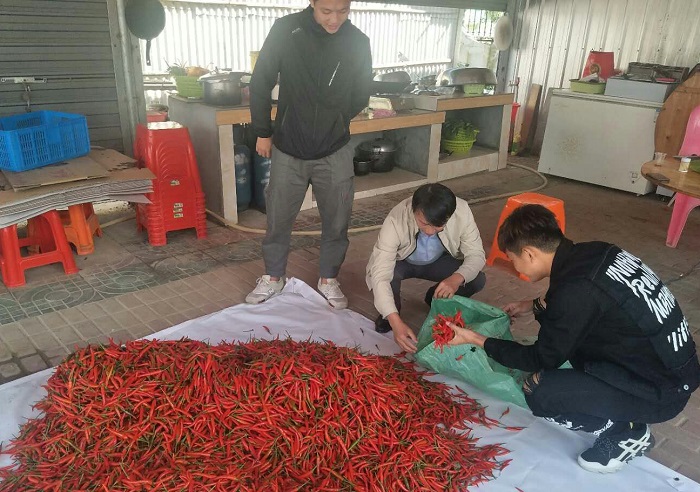 谈球吧体育APP下载图片