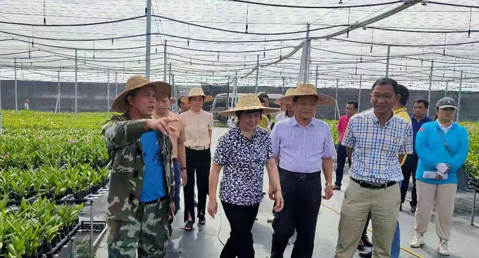 谈球吧体育超级联赛图片