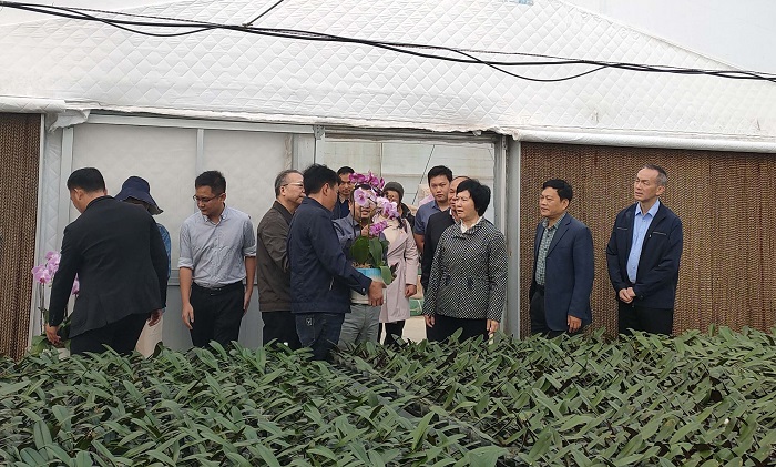谈球吧体育赛事资讯平台图片