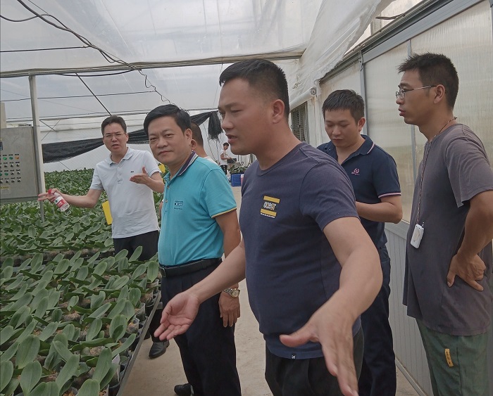 谈球吧体育直播图片