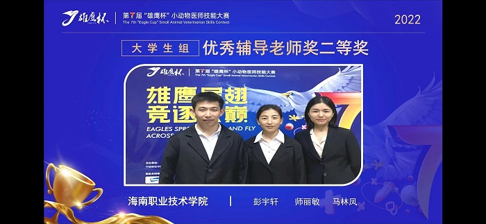 谈球吧体育加速节点图片