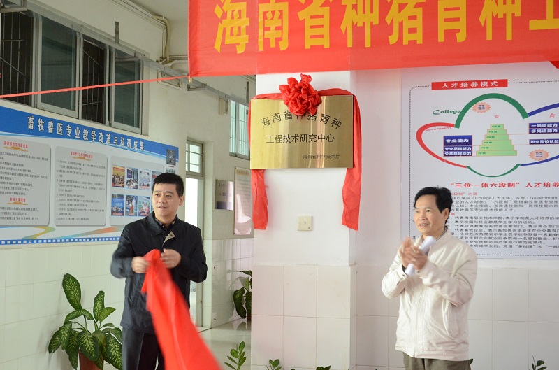 谈球吧体育加速节点图片