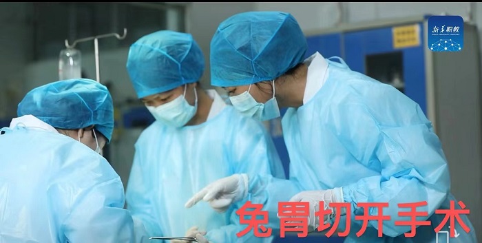 谈球吧体育指定通道图片