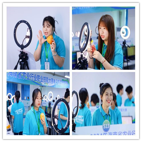 谈球吧体育直播图片