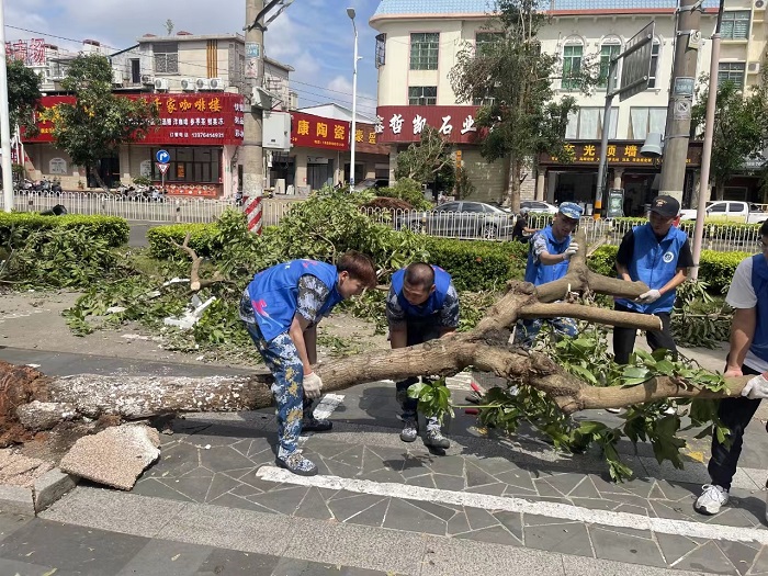 谈球吧体育APP下载图片