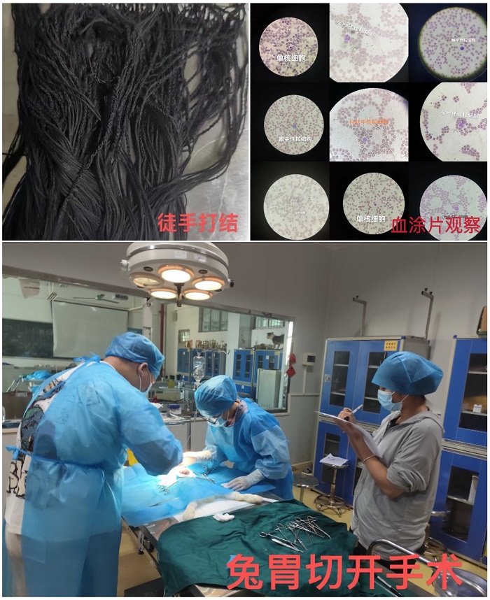 谈球吧体育官方指定端图片