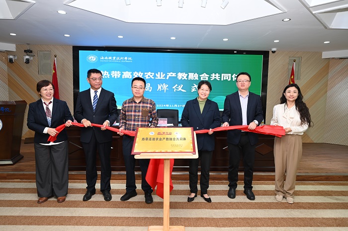 谈球吧体育加速节点图片