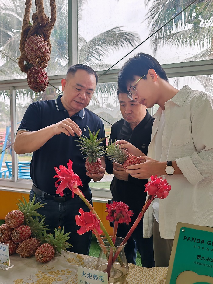 谈球吧体育平台图片