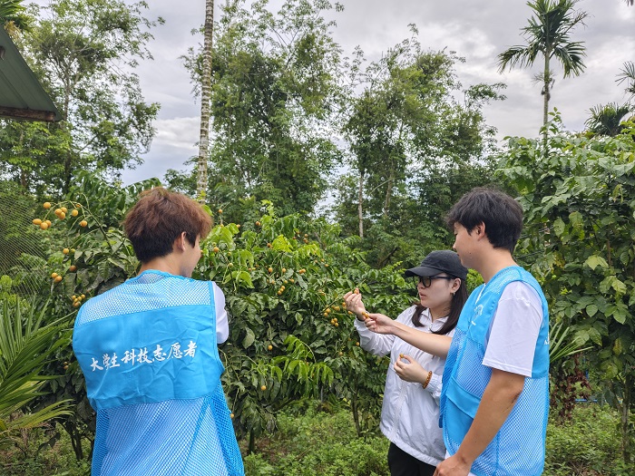谈球吧体育核心通道图片