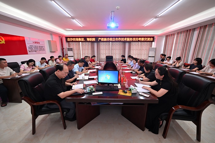 谈球吧体育欧洲杯图片